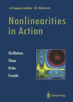 Nonlinearities in Action - Gaponov-Grekhov, Andrei V.; Rabinovich, Mikhail I.