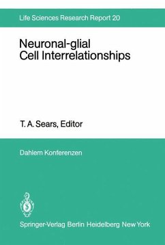 Neuronal-glial Cell Interrelationships