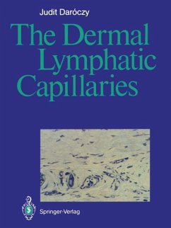 The Dermal Lymphatic Capillaries - Daroczy, Judit