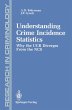 Understanding Crime Incidence Statistics - Bild 1