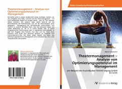 Theatermanagement - Analyse von Optimierungspotenzial im Management