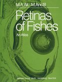 Retinas of Fishes