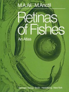 Retinas of Fishes - Ali, Mohamed A.; Anctil, Michel