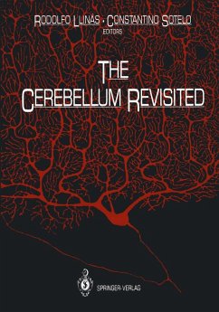 The Cerebellum Revisited