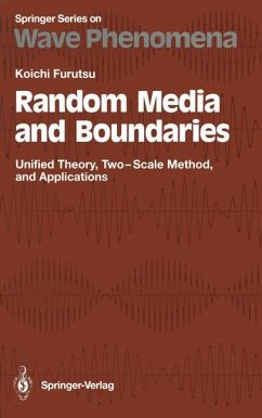 Random Media and Boundaries - Furutsu, Koichi
