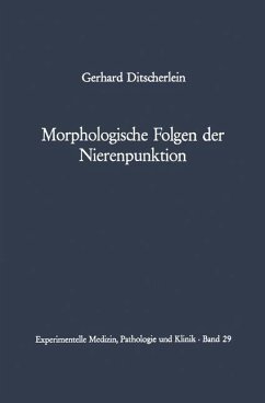 Morphologische Folgen der Nierenpunktion - Ditscherlein, G.