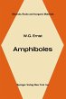 Amphiboles - Bild 1