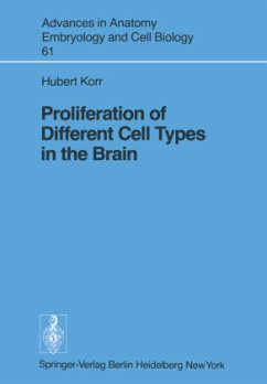 Proliferation of Different Cell Types in the Brain - Korr, H.