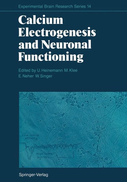 Calcium Electrogenesis and Neuronal Functioning Calcium Electrogenesis and Neuronal Functioning