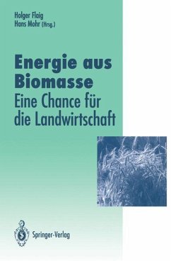 Energie aus Biomasse