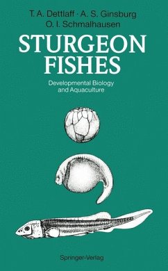 Sturgeon Fishes - Dettlaff, Tatiana A.;Ginsburg, Anna S.;Schmalhausen, Olga I.