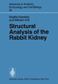 Structural Analysis of the Rabbit Kidney