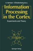 Information Processing in the Cortex