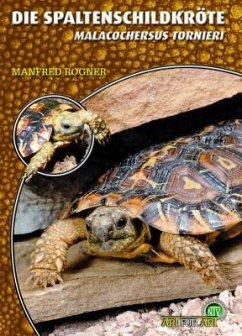 Die Spaltenschildkröte - Rogner, Manfred