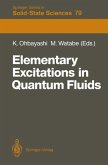 Elementary Excitations in Quantum Fluids