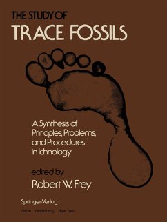 The Study of Trace Fossils