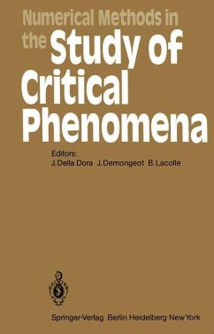 Numerical Methods in the Study of Critical Phenomena
