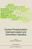 Tyrosine Phosphorylation/Dephosphorylation and Downstream Signalling