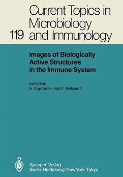 Images of Biologically Active Structures in the Immune System