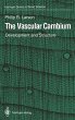 The Vascular Cambium - Bild 1