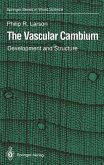 The Vascular Cambium