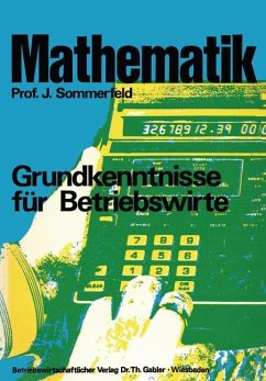 Mathematik - Sommerfeld, Johannes
