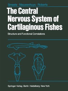 The Central Nervous System of Cartilaginous Fishes - Smeets, W.J.A.J.; Nieuwenhuys, R.; Roberts, B. L.