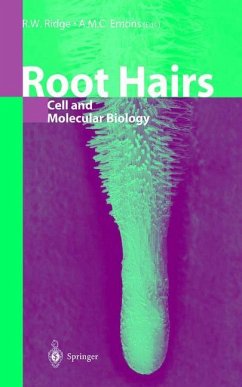 Root Hairs