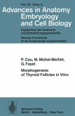 Morphogenesis of Thyroid Follicles in Vitro