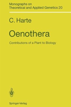 Oenothera - Harte, Cornelia