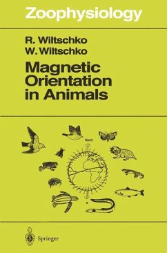 Magnetic Orientation in Animals - Wiltschko, Roswitha; Wiltschko, Wolfgang