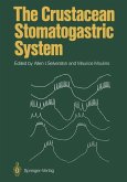 The Crustacean Stomatogastric System