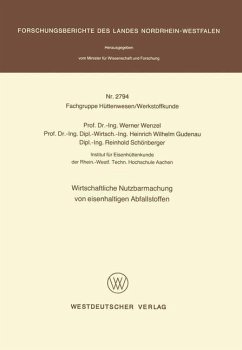 Wirtschaftliche Nutzbarmachung von eisenhaltigen Abfallstoffen - Wenzel, Werner