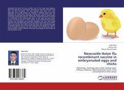 Newcastle-Avian flu recombinant vaccine in embryonated eggs and chicks