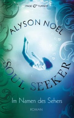 Im Namen des Sehers / Soul Seeker Bd.3 - Noël, Alyson