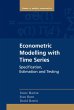 Econometric Modelling with Time Series - Bild 1