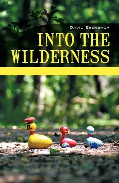 Into the Wilderness - Ebenbach, David Harris