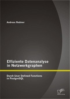 Effiziente Datenanalyse in Netzwerkgraphen: Durch User Defined Functions in PostgreSQL - Redmer, Andreas