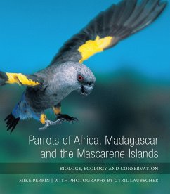 Parrots of Africa, Madagascar and the Mascarene Islands - Laubscher; Perrin, Mike