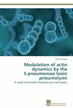 Modulation of actin dynamics by the S.pneumoniae toxin pneumolysin - Hupp, Sabrina