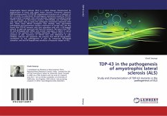 TDP-43 in the pathogenesis of amyotrophic lateral sclerosis (ALS)