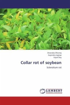 Collar rot of soybean