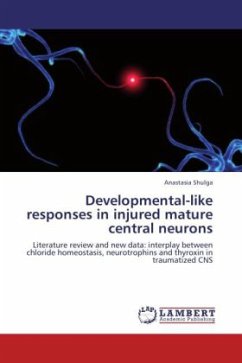 Developmental-like responses in injured mature central neurons