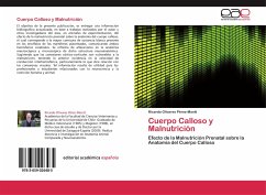 Cuerpo Calloso y Malnutrición