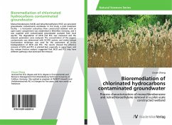 Bioremediation of chlorinated hydrocarbons contaminated groundwater