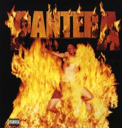 Reinventing The Steel - Pantera