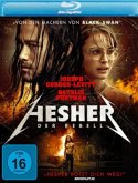 Hesher - Der Rebell