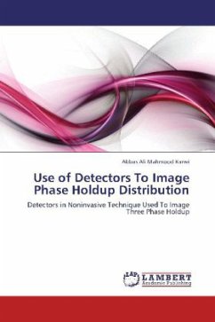 Use of Detectors To Image Phase Holdup Distribution