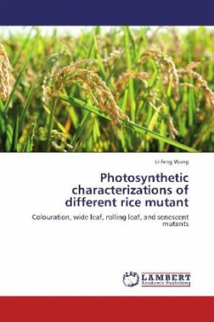 Photosynthetic characterizations of different rice mutant - Wang, Li-feng