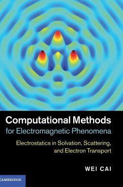 Computational Methods for Electromagnetic Phenomena - Cai, Wei